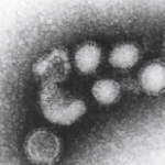 Thumbnail of post image 029